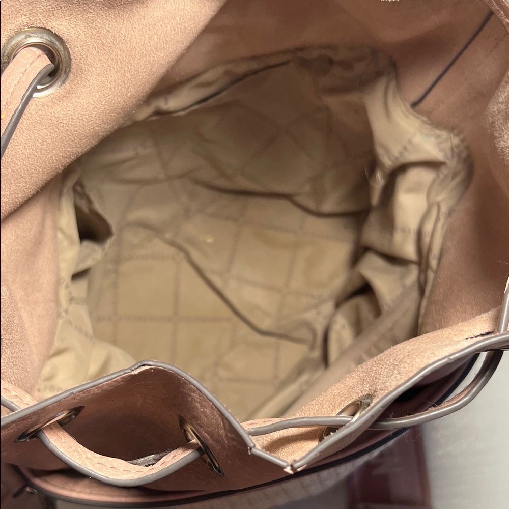Steve Madden Beige and Blush Bucket Bag - Picture 5 of 6